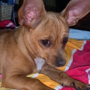 Meet your Posher, Daniel